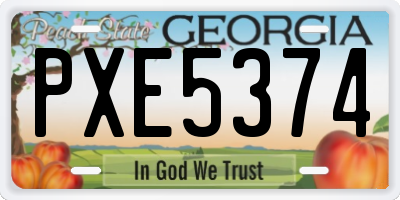 GA license plate PXE5374