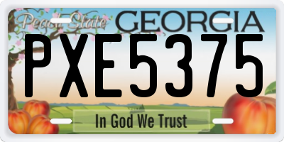 GA license plate PXE5375