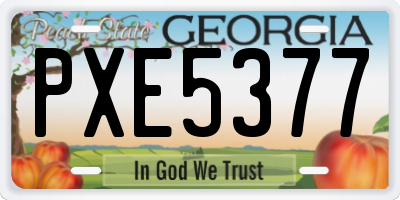 GA license plate PXE5377