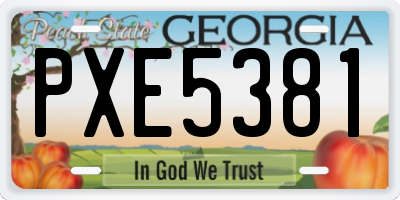 GA license plate PXE5381