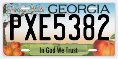 GA license plate PXE5382