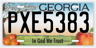 GA license plate PXE5383
