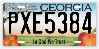GA license plate PXE5384