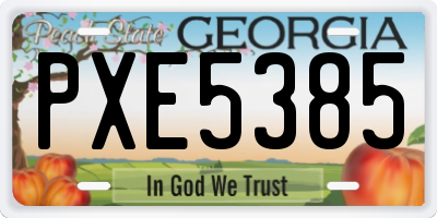 GA license plate PXE5385