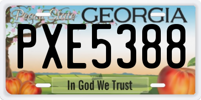 GA license plate PXE5388