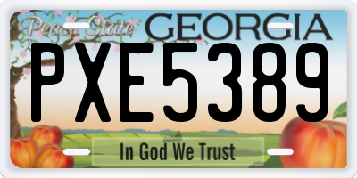 GA license plate PXE5389