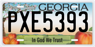 GA license plate PXE5393