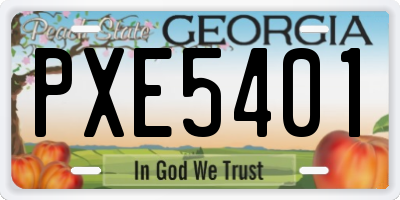 GA license plate PXE5401