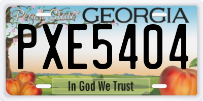 GA license plate PXE5404