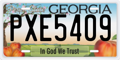GA license plate PXE5409