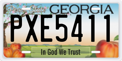 GA license plate PXE5411