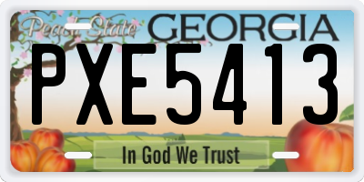 GA license plate PXE5413