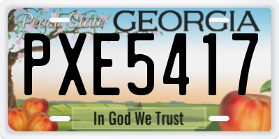 GA license plate PXE5417