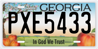 GA license plate PXE5433