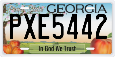 GA license plate PXE5442