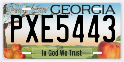 GA license plate PXE5443