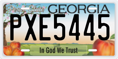 GA license plate PXE5445