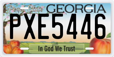 GA license plate PXE5446