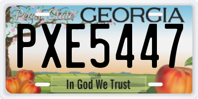 GA license plate PXE5447