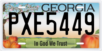 GA license plate PXE5449