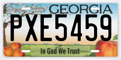 GA license plate PXE5459