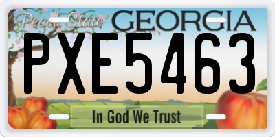 GA license plate PXE5463