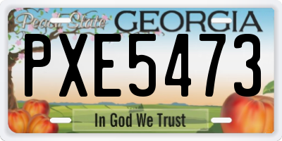 GA license plate PXE5473
