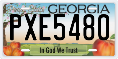 GA license plate PXE5480