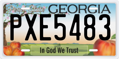 GA license plate PXE5483