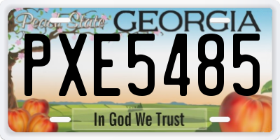 GA license plate PXE5485