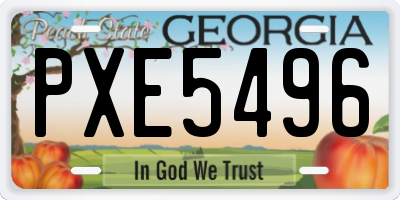 GA license plate PXE5496