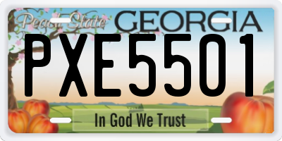 GA license plate PXE5501