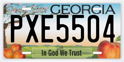GA license plate PXE5504