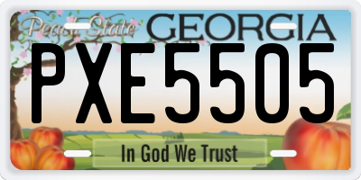 GA license plate PXE5505