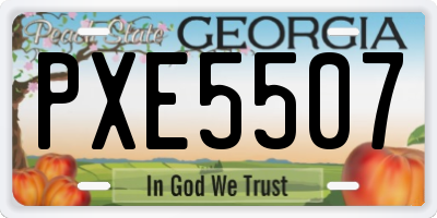 GA license plate PXE5507