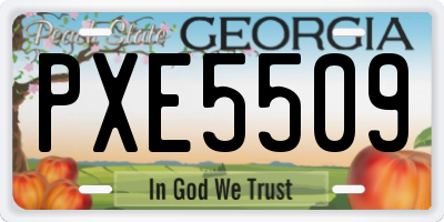 GA license plate PXE5509