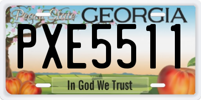 GA license plate PXE5511