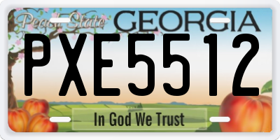 GA license plate PXE5512