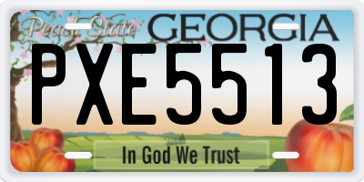 GA license plate PXE5513