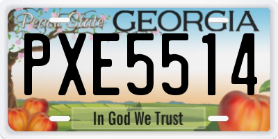 GA license plate PXE5514