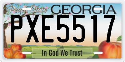 GA license plate PXE5517