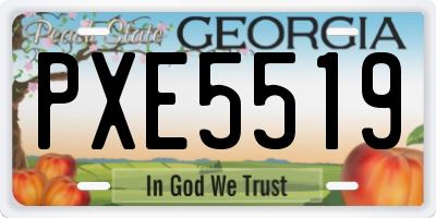 GA license plate PXE5519