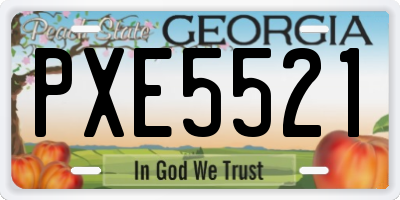 GA license plate PXE5521