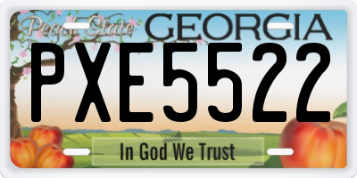 GA license plate PXE5522