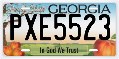 GA license plate PXE5523
