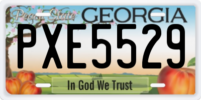 GA license plate PXE5529