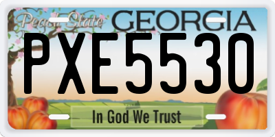 GA license plate PXE5530