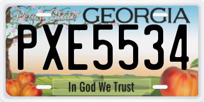GA license plate PXE5534