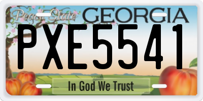GA license plate PXE5541