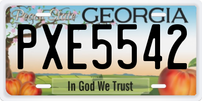 GA license plate PXE5542